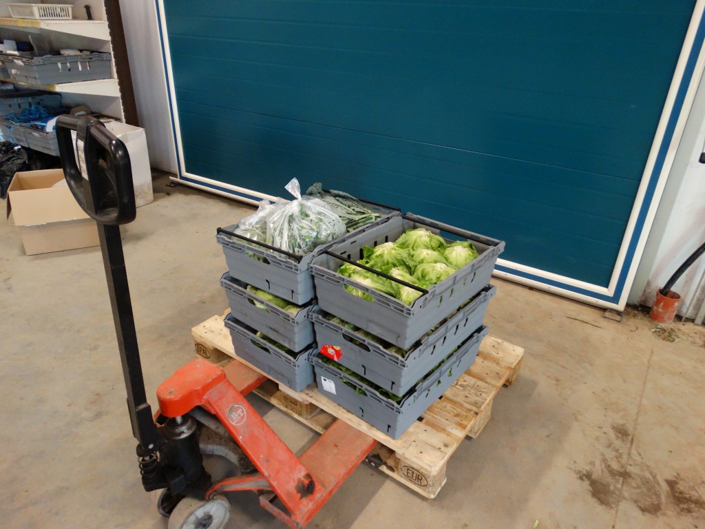 Inköpta grönsaker